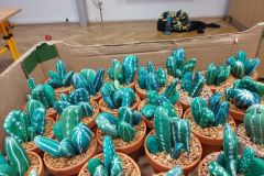 Vyrábění-kaktusů-07