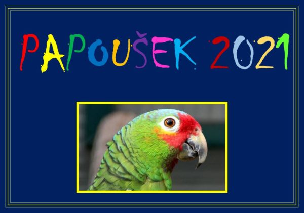 Papoušek 2021