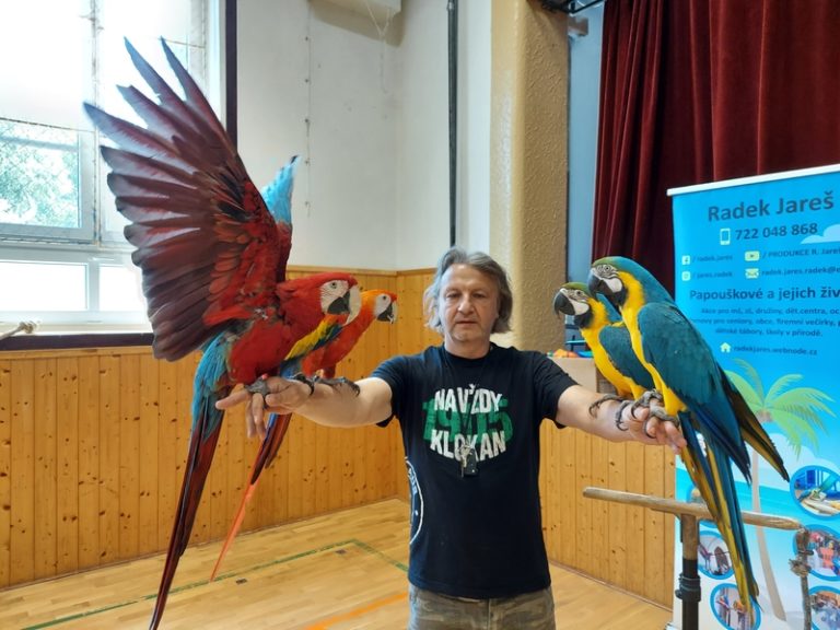 Papoušci z Litvínova navštívili vranskou družinu a klub