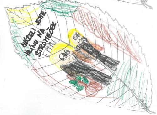 Sc364e-ZS-V24102212471 0001