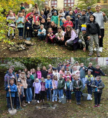 Sázení stromu 21. 10. 2024